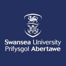 Swansea University image